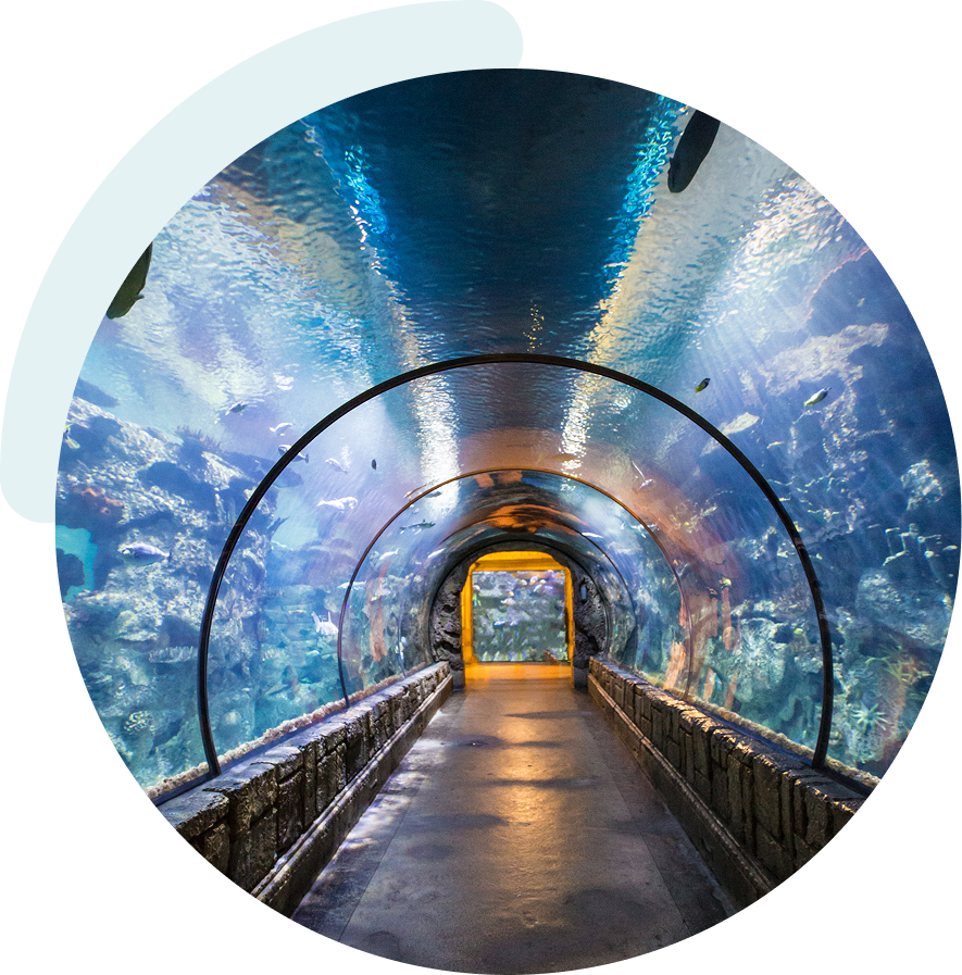 Sea Friends Incorporated Sea Friends Incorporated